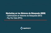 Marketing en los Motores de Búsqueda (SEM).
