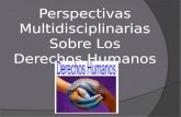 Perspectivas multidisciplinarias sobre los derechos humanos
