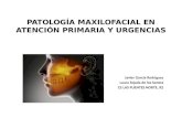 (2017.01.19) - Patología maxilofacial en Atención Primaria (PPT)