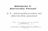 Derecho penal word