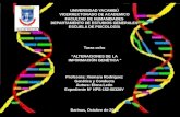 Tarea8 genetica y_conducta_alteraciones _de_ la_informacion_genetica