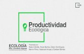Productividad Ecológica