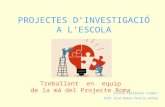 Projectes d’investigació a l'escola