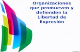 Organizaciones y la libertad de expresión