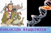 Evolucion biogeoquimica
