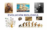 Unidade 5   a evolución biolóxica
