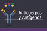 Anticuerpos y antígenos
