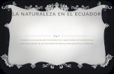 La naturaleza en el ecuador