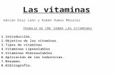 Trabajo cmc (vitaminas)
