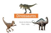 Especialidade de Dinossauros