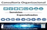 Publicidad servicios Consultoria Organizacional