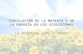 CIRCULACIÓN DE LA MATERIA Y DE LA ENERGÍA EN LOS ECOSISTEMAS