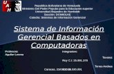 Sistema de información gerencial basados en computadoras