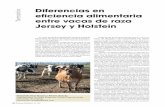 Diferencias en eficiencia alimentaria entre vacas de raza Jersey y Holstein