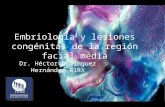 Embriología y lesiones congénitas de la región facial presentacion