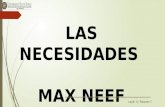 Necesidades Max Neef