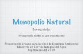 Monopolio Natural (breve introducción)