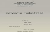 Gerencia industrial romulo romero
