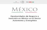 Promexico. Oportunidades de Negocio e Inversión en Mexico en el sector Automotriz y Energético. SPRI