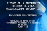 Riesgos de la información electrónica virus, ataque,vacunas.