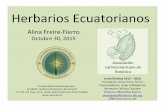 Herbarios Ecuatorianos