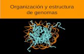 Organización y estructura de genomas