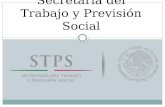 Secretaría del trabajo y previsión social