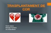 Trasplantament de cor