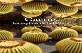 Cactus, las espinas de la belleza