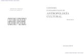 Las cuestiones de antropologia