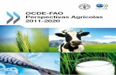 OCDE-FAO Perspectivas Agricolas 2011-2020