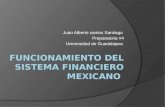 Funcionamiento del sistema financiero mexicano