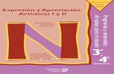 Expresión y Apreciación Artísticas II