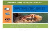 Informe Final Proyecto Mortalidad Tortuga Amarilla CONANP ...