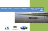 023.Informe Tortugas Marinas Colombia.pdf
