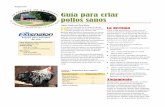 Guía para criar pollos sanos