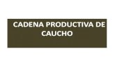 CSC BAJO CAUCA - PRESENTACIÓN CAUCHO