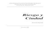 Riesgo y Ciudad 1.0.1 Jun/11/2001