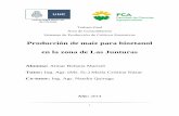 Producción de maíz para bioetanol en la zona de Las Junturas.pdf