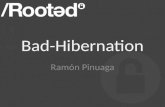 Bad hibernation-rooted
