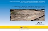 Catálogo de los efectos geológicos de los terremotos en España