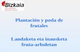 Plantación y poda de frutales Landaketa eta inausketa fruta-arboletan