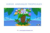 Juego Animales Tropicales
