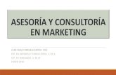 Asesoría y consultoría en marketing sesión 3