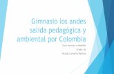 Presentacion Medellin - Nicolas Camacho - 6b