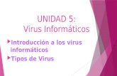 Introducción a los virus informáticos y tipos de virus - Grupo 4