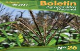 Boletín nacional agroclimático FeBrero 2017