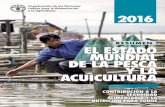 El estado mundial de la pesca y la acuicultura 2016 (SOFIA ...