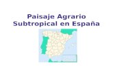 Paisaje agrario subtropical en España