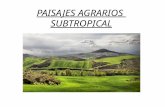 Paisaje Agrario Subtropical
